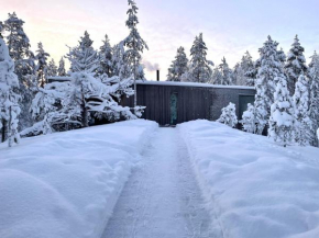Villa Jäkälä - An architectural wooden villa by the lake